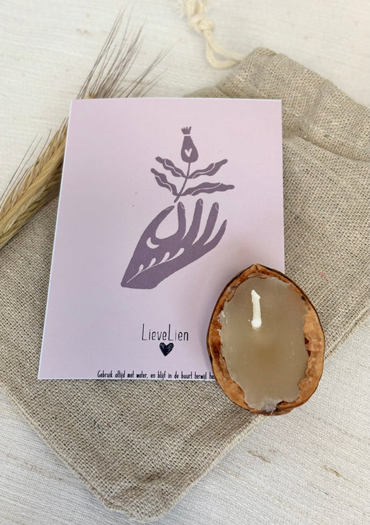 Lichtpuntje in een notendop