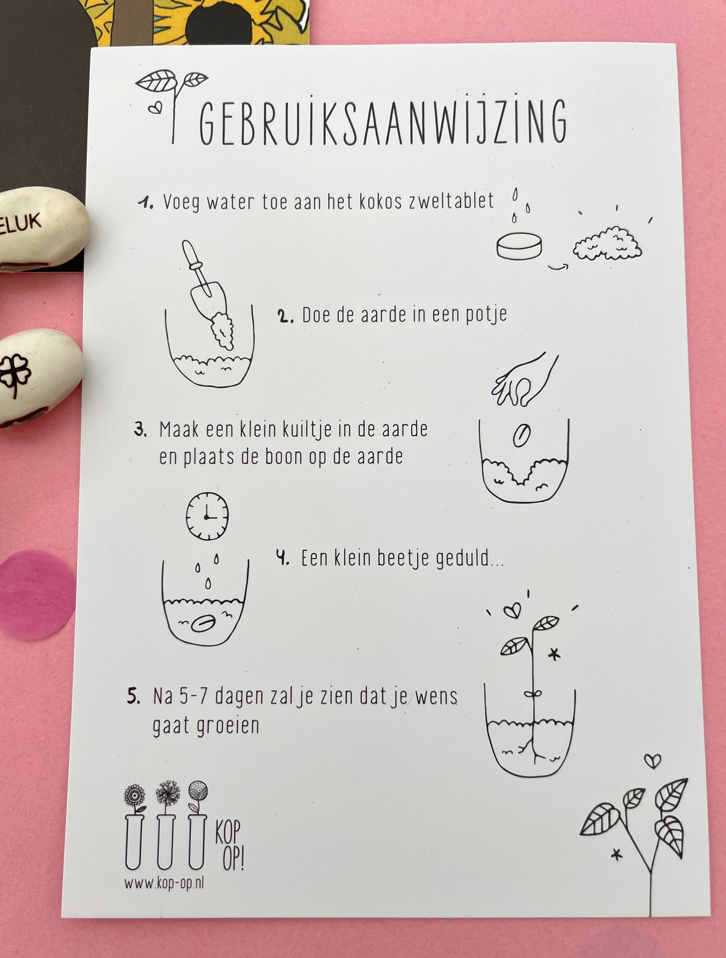Cadeauset bloei